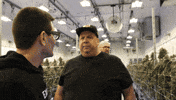 Plant Yes GIF by Exclusive Brands