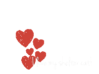 Cat Adopt Sticker by Sacramento SPCA