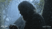 Lord Of The Rings Look GIF by Amazon Prime Video