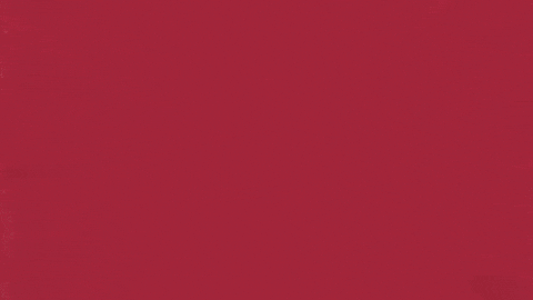 Charroslmb2025 GIF by Charros de Jalisco