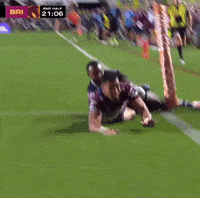 Nrl Manlyseaeagles GIF
