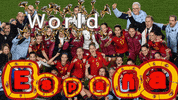 World Cup Football GIF