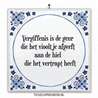 Humor Nl GIF by Tegelspreuken.nl