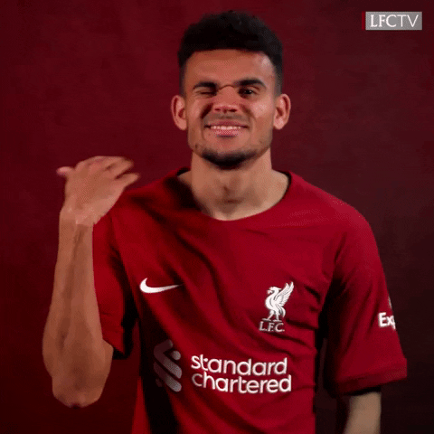 Stop That Not For Me GIF by Liverpool FC