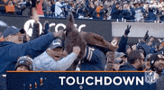 Chicago Bears Football GIF by NFL