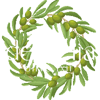 Plants Oliveoil Sticker by haus centrifuge technologies
