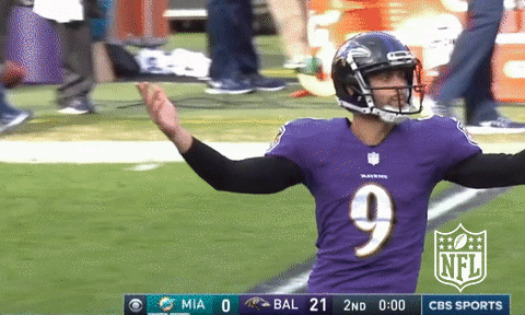 Baltimore Ravens Football GIF by NFL