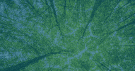 Climate Change Biden GIF by Ohio Environmental Council Action Fund
