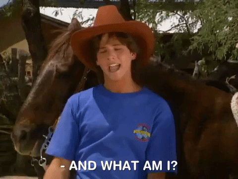 hey dude nicksplat GIF