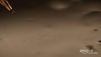 amazon prime video GIF by American Gods