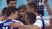 Lets Go Wow GIF by Volleyball World
