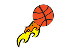 Leones Con Flow Sticker by Serenito