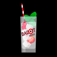Badoit happy water yummy joy GIF