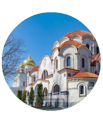 Визитроссия Sticker by kchr