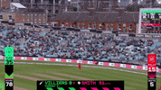 Cricket GIF by The Hundred