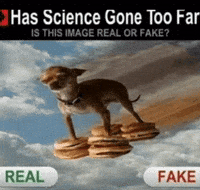 Realorfake GIF