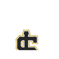 Bees Baseball Sticker by Salt Lake Bees