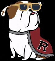 universityofredlands illustration sunglasses mascot addie GIF