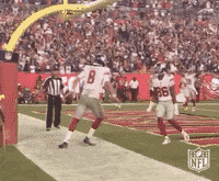 New York Football GIF by NFL