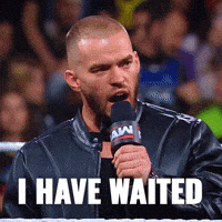 Still Waiting Long Wait GIF by WWE