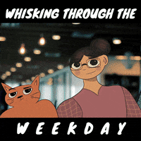 Cat Fun GIF by The Animation Project