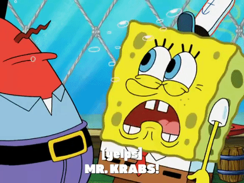 season 8 GIF by SpongeBob SquarePants