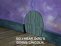 nicksplat GIF