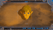 glitch link zelda breath of the wild GIF