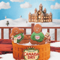 Sponsored gif. Two gingerbread cookies relax in a steaming hot tub, wearing Canada Dry sweaters and drinking tiny cans of Canada Dry. A hand enters the frame and pours Canada Dry Zero Sugar Ginger Ale into the hot tub. Text: "WHAT'S FIZZING?"