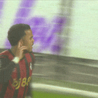 Happy Premier League GIF by AFC Bournemouth
