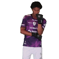 Del Valle Love Sticker by INDEPENDIENTE DEL VALLE