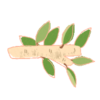 Environment Branch Sticker