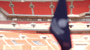 london football GIF by Tottenham Hotspur