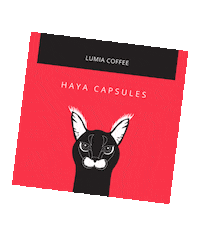 lumiacoffee coffee bobo kuwait reem Sticker
