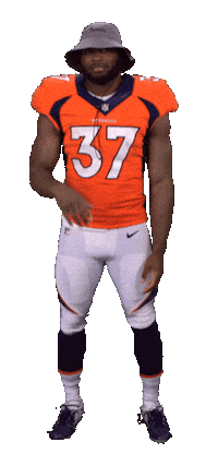 Denver Broncos Stickers Sticker by NFL