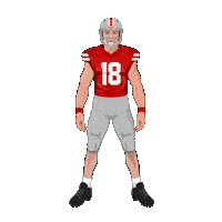 Will College Football Sticker by Panini America