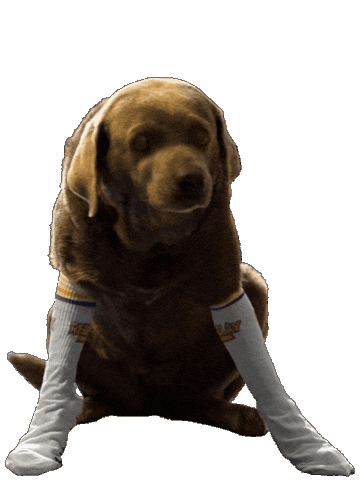 Socks Crying Sticker by Replayboys