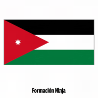 Flag Pixel Art GIF by Formación Ninja