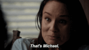 sarah wayne callies fox GIF by Prison Break