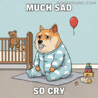 Sad Cry Baby GIF by Doge Pound