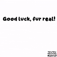 Black Cat Hello GIF by VeeFriends