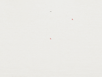 typography tattoo GIF by Brikk
