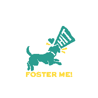 Foster Sticker by HIT Living Foundation