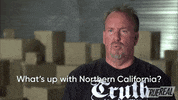Bidding Storage Wars GIF by TrueReal