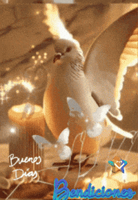 Good Morning Amigos GIF by Murcianys LLC