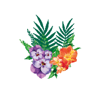 Bloom Shampoo Sticker by Palmolive Naturals