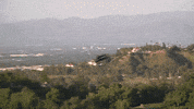 Spring Summer GIF by Lebra Jolie