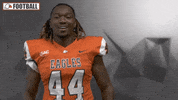 Cnfb GIF by Carson-Newman Athletics