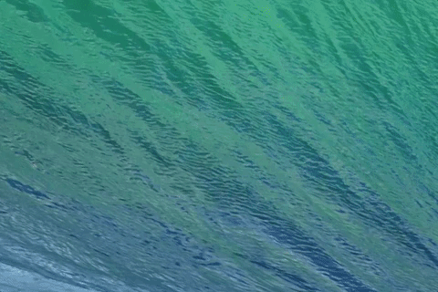 start skype call GIF