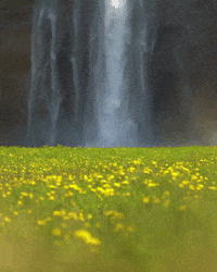 Flowers Waterfall GIF by Chris